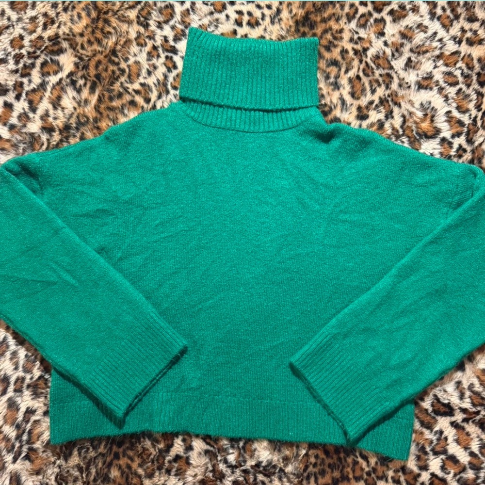 Zara Emerald Green Turtleneck Sweater